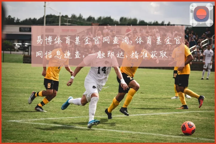 易博体育基金官网查询,体育基金官网信息速查,一触即达,精准获取