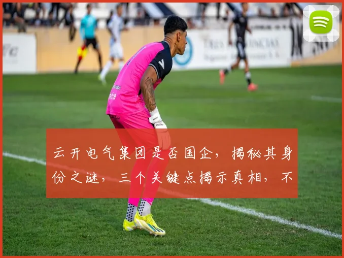 云开电气集团是否国企，揭秘其身份之谜，三个关键点揭示真相，不容错过