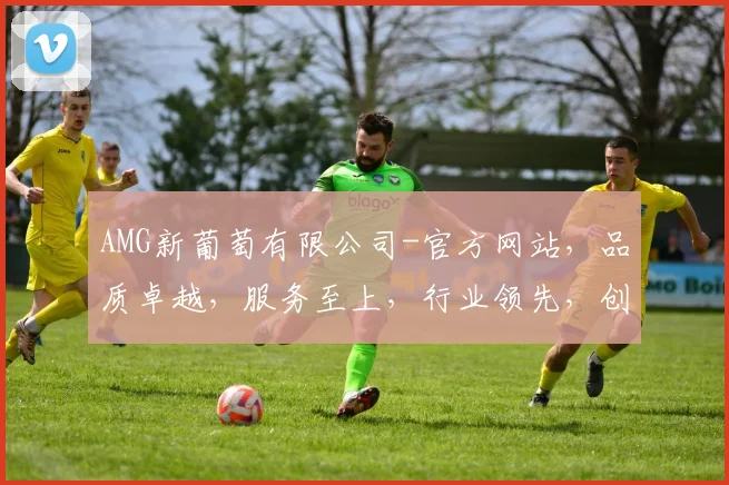 AMG新葡萄有限公司-官方网站，品质卓越，服务至上，行业领先，创新驱动，一站式体验，值得信赖
