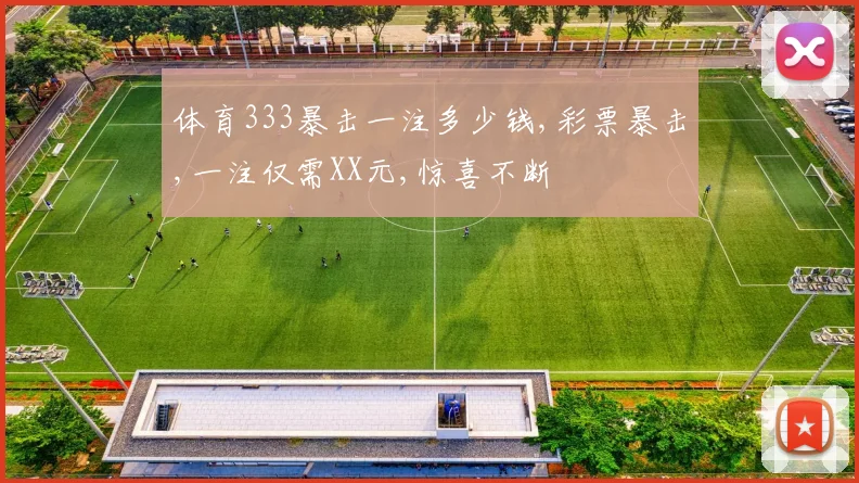 体育333暴击一注多少钱,彩票暴击,一注仅需XX元,惊喜不断